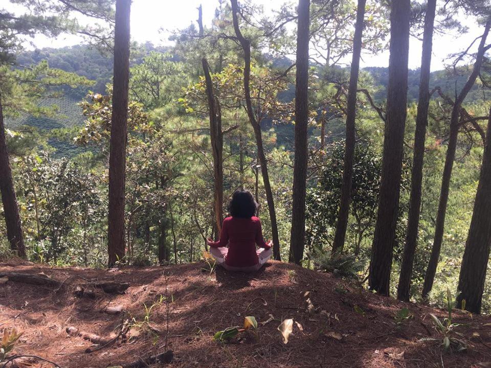 Farmstay O A Phao - Km37 Ham Yen Tuyen Quang Eksteriør billede