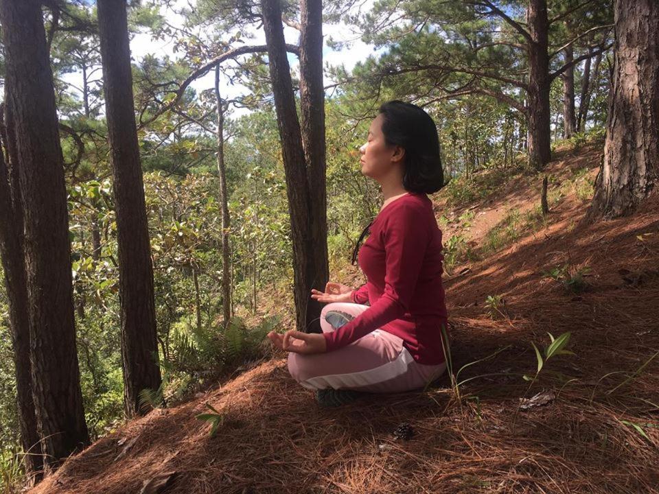 Farmstay O A Phao - Km37 Ham Yen Tuyen Quang Eksteriør billede